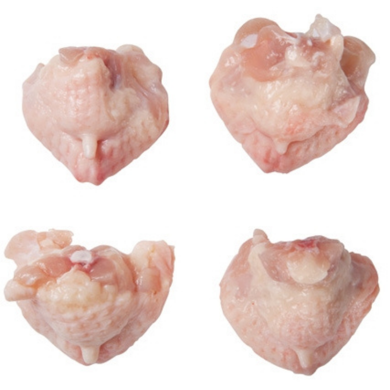 尾椎,尾椎批發,尾椎批發,台灣尾椎批發,進口尾椎批發,尾椎批發商