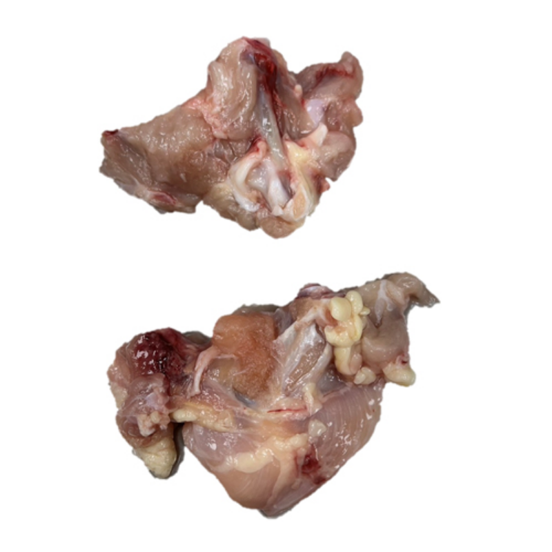 胸三角骨,胸三角骨批發,生鮮胸三角骨批發,台灣胸三角骨批發,進口胸三角骨批發,胸三角骨批發商